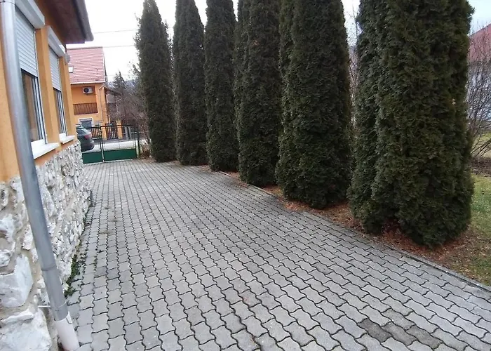 Bellis - Apartmanok